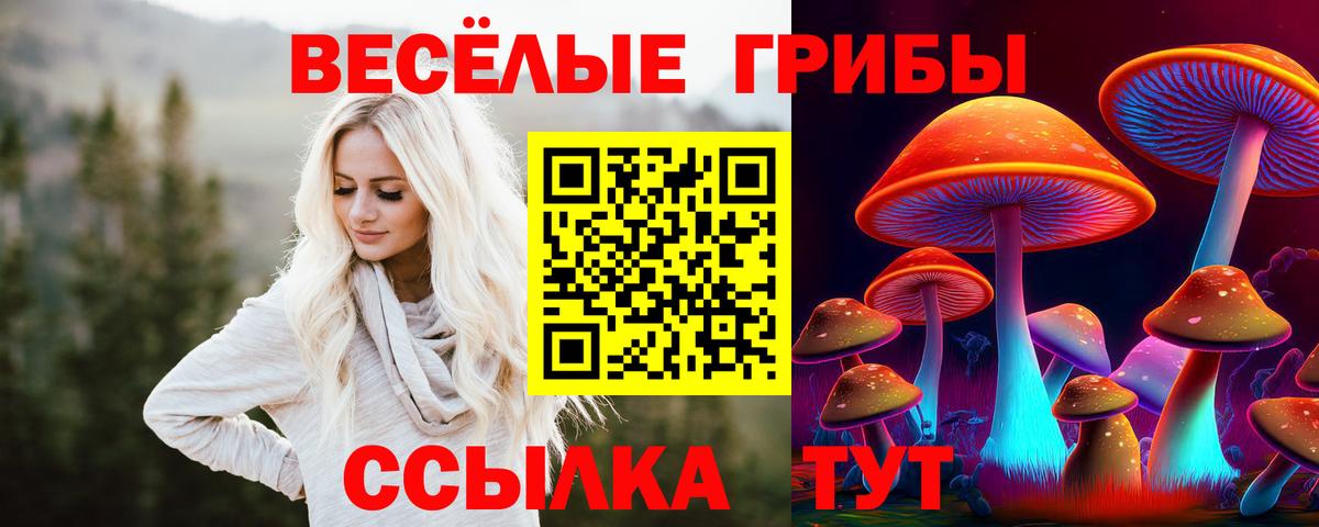 Псилоцибиновые грибы ЛСД  Вход с VPN  Псилоцибиновые грибы GOLDEN TEACHER  Бузулук 